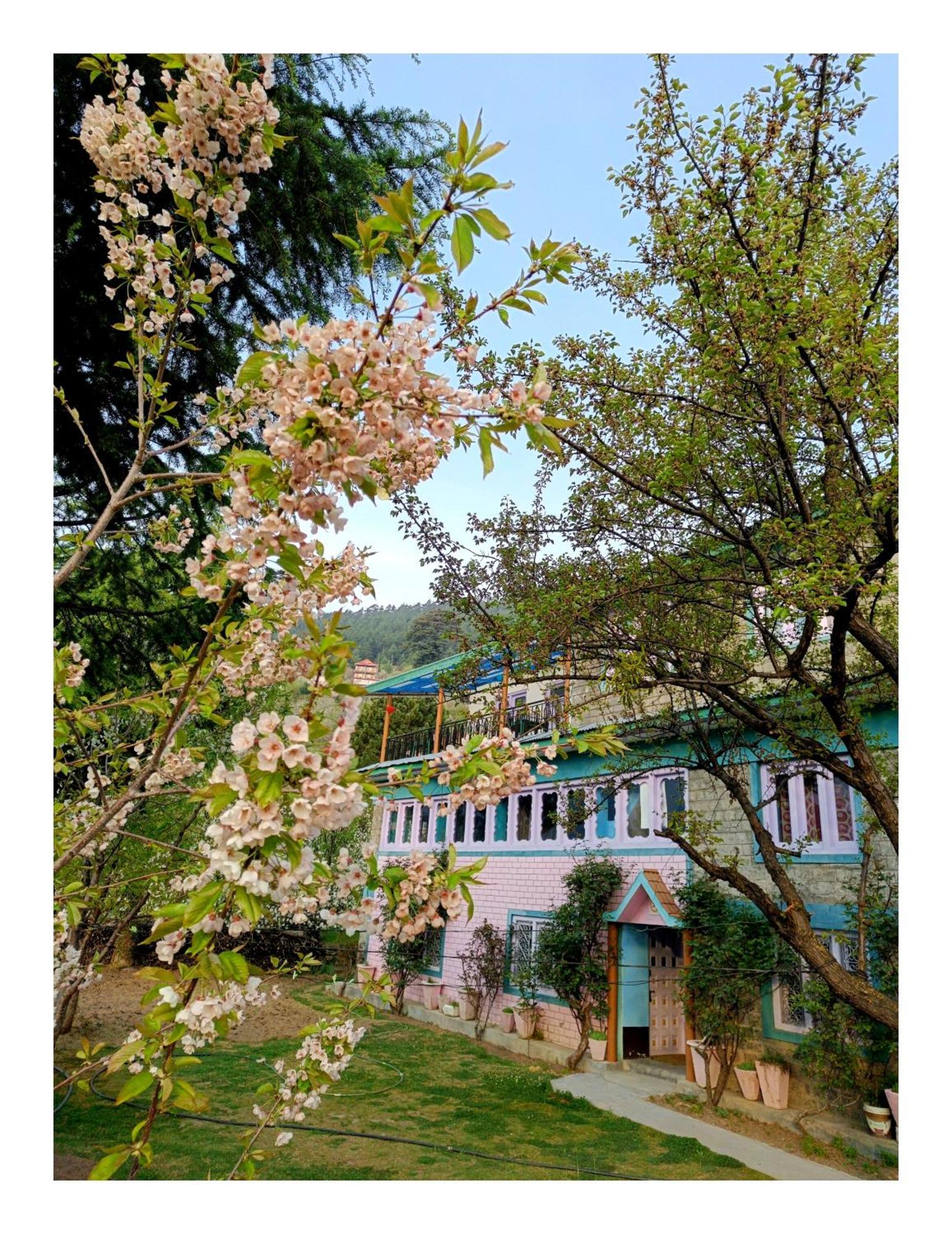 Farmvilla Homestay Kalpa Zewnętrze zdjęcie